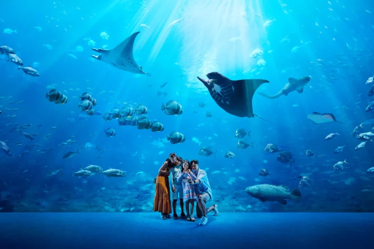 Best Aquariums in the World Exploring Marine Life and Ocean Wonders