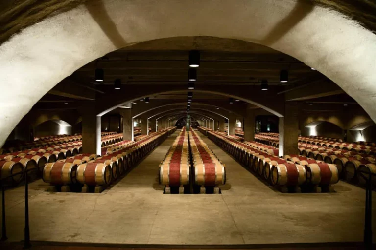 Wine Tasting Tours in Napa Valley A Complete Guide for Enthusiasts and Travelers